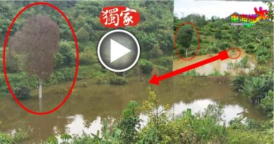 水深至少15尺 淹死榴梿树  堰塞湖涨水 居民忧决堤