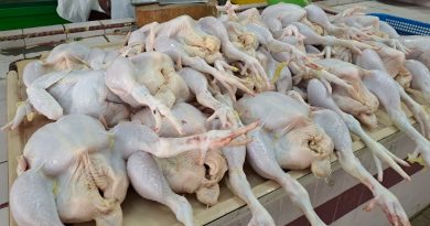 斋戒月需求量增    肉鸡供应渐吃紧