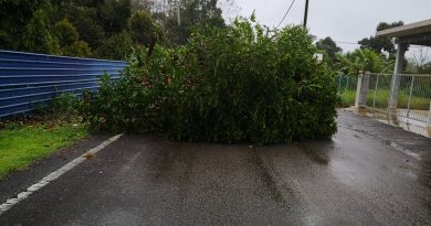 大树倒卧路中央     地里望志消队冒雨清理