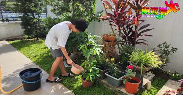 干旱天气容易使绿植枯萎，需不同时浇水保持水分。