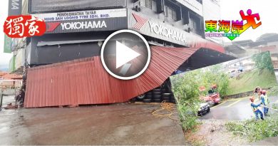 狂风暴雨吹袭文冬  树倒铁棚塌
