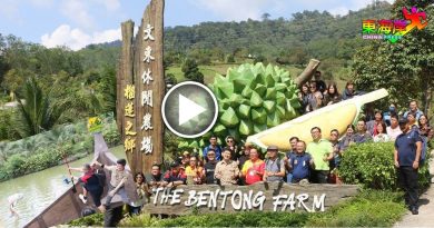 文冬生态旅游红了    吸引砂州老师飞过来