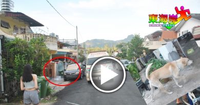 执法人员捉爱狗  华男护狗争执暴毙