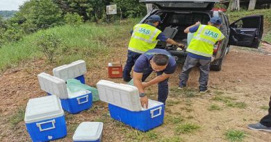 采集湖水样本  参数测量值    彭环境局追踪珍尼湖水质情况