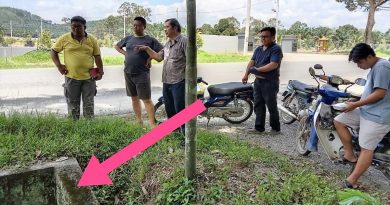 五一劳动节不休假   新发展官巡新村