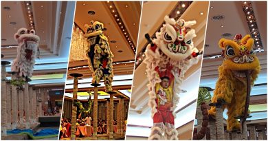 3国12队使出浑身解数    醒狮擒蛇 钓鱼   有惊喜 ！