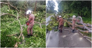 突降暴雨 2小区树倒    消拯人员 雨中清理路障