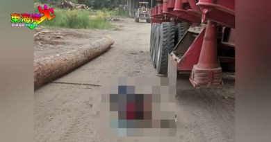 树桐突滑落 罗厘司机伤重不治
