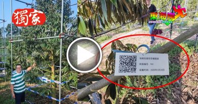 彭城葳：海南岛投钜资发展  让参观者大开眼界