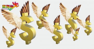 网友游说参与线上投资  华妇被骗11万3875