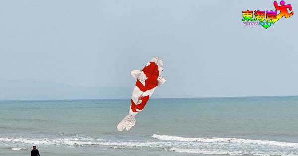 由邱添民带来的“鲤鱼”风筝，在海风的助力上开始缓缓上空。