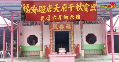 文冬玻璃口福安殿庆神诞  唐天府爷出巡3新村