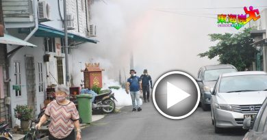 毒蚊入侵新村  卫生局灭蚊行动