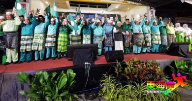 丹国盟：伊党39席 土团党6席 赞里攻哥打拉玛