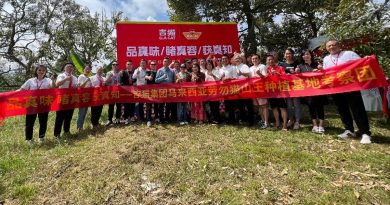 叶宝卿：享誉国际  勿让猫山王“受委屈”