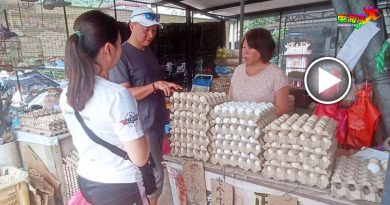 【大城小镇变身】面对财团征地村民开拓土产    武吉丁宜姜蛋双骄