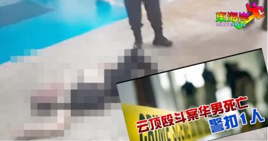 云顶停车场命案  嫌犯料被控误杀和吸毒