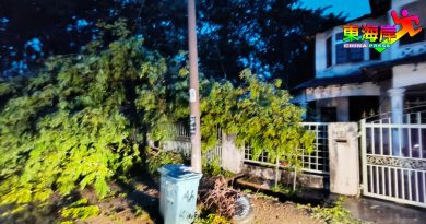 暴雨树倒压民宅 淡马鲁市会派员处理