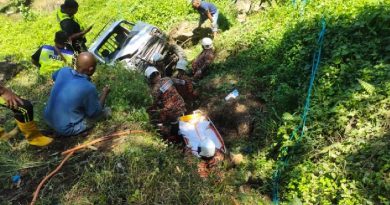 倒退载榴槤果的四驱车 华男失控直坠50尺山谷