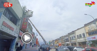 中华商会协助整顿市容    清3街道建筑缝隙植物