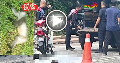 摩哆撞死猴子后  再撞货卡 骑士送命