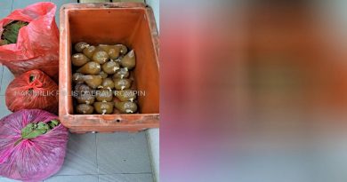 住家制葛冬水卖敛财       毒贩落网