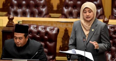 登唯一女议员促州政府   对付衣着暴露穆游客