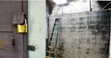 门锁遗失燕尸满地 燕屋入贼 燕窝全被偷
