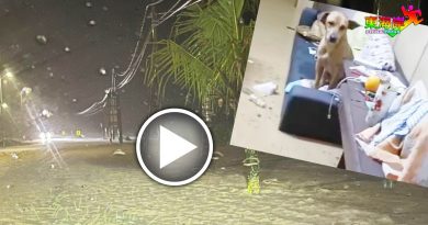 水灾丨一场豪雨  文积又淹水