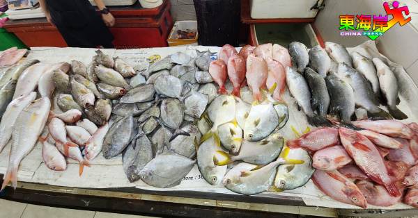 迈入东北季候风来袭之际，关丹市面上的海鱼供应仍充足。