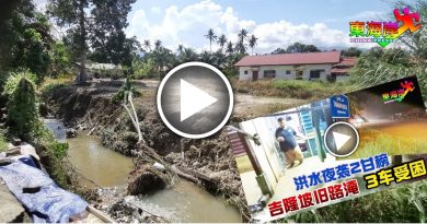 山洪爆发河水泛滥  河岸快塌到工厂边