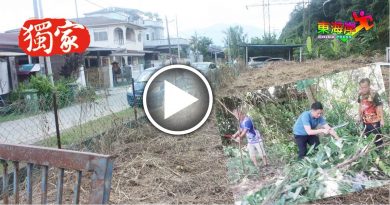 骨痛热症丨蚊症案例增 卫生局警告  菜园空地养蚊 必重罚！