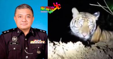 文冬警方：吉隆坡旧路热水湖  没老虎