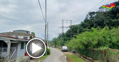 文冬金马苏又1人中蚊症     新卫生局长促民照顾卫生