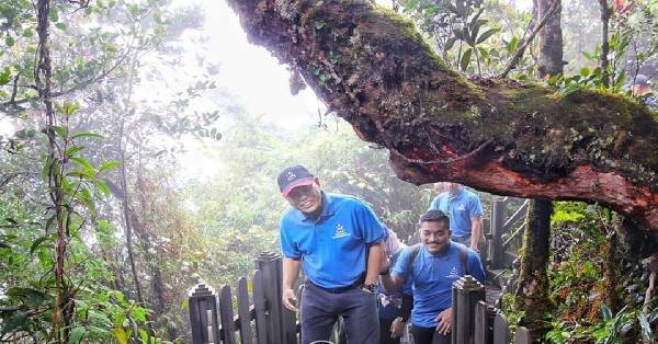 旺罗斯迪（左）希望苔藓森林能为保护生物多样性和促进可持续发展献力。