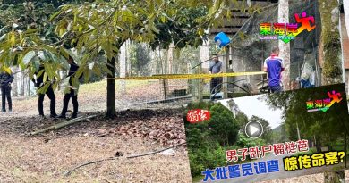榴梿园谋杀案  警扣两人助查