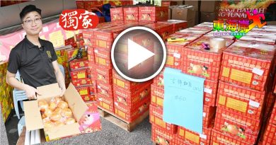 龙呈吉祥丨芦柑大丰收 品质新鲜    价格不升反跌