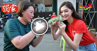 4龙降临文化街  美姐玩变色龙