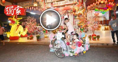 骑美丽三轮花车  欣赏新春彩灯