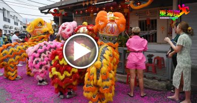家族相聚  挺醒狮团  回乡团圆  报效2祥狮