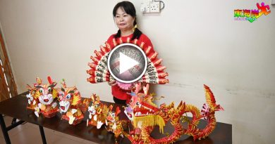 红包达人 制　红包灯笼　剪纸  　祥龙送福  春意浓