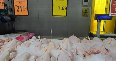 斋戒月  肉鸡及鸡蛋      供应充足