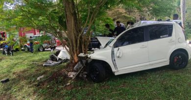 迈薇轿车失控撞向大树   司机当场身亡