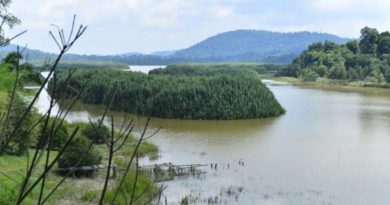 珍尼湖生物圈保护区     UNESCO 2029年 再评估