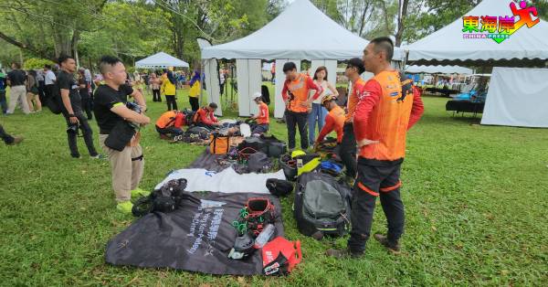 香港队及日本队攀树师在竞赛举行前，仔细检查所有攀树装备，毫不马虎。