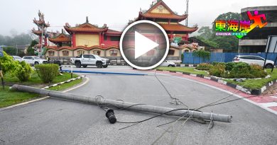 罗厘扯断电话线  影响交通网络中断