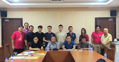 20庙宇多个华团共庆宝诞 镇兴宫1日盛大游神