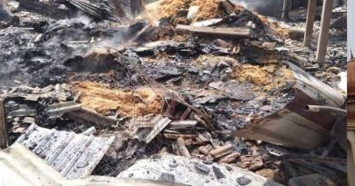 养鸡场无故失火    5000只小鸡惨遭烧死