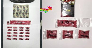 2男拥1064粒马丸被捕