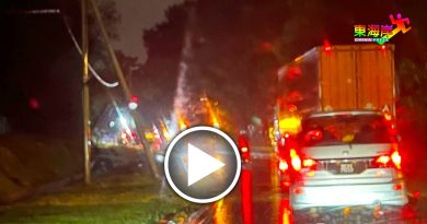 大风雨袭击文冬  大树吹倒　交通中断